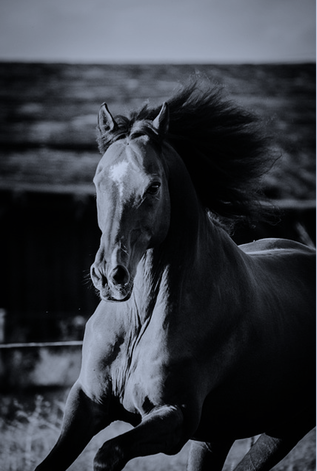 What Does Beauty, Courage, And the Wind Look Like?